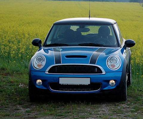 mini